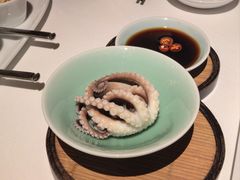 白灼望潮-新荣记(椒江店)