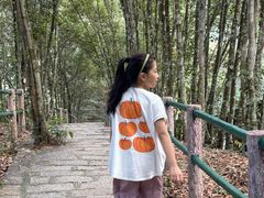 -百漈沟生态旅游景区
