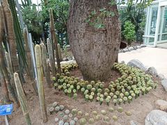 -南山植物园