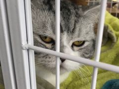 -边渡咖啡烘焙店(昙华林店)