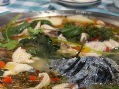 -重庆火锅水库鱼庄(南油店)