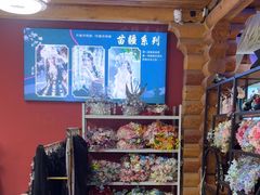 -合肥滨湖国家森林公园