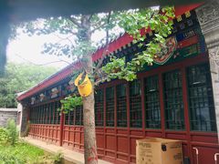 -北京第二实验小学