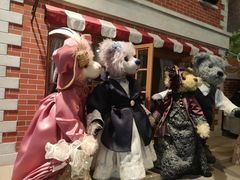 -济州岛泰迪熊博物馆