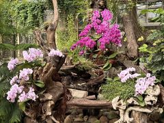 -石家庄市植物园