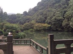 iphone_upload_pic-九溪烟树