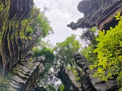 -梭布垭石林景区