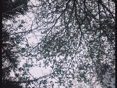 -花间茶(华侨城创意园店)
