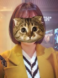 -崇尚GAVIN STYLE