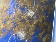 -阳澄湖大闸蟹·琼灵阁牌品牌连锁(吴中总店)