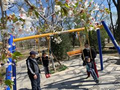 -阳台山自然风景区