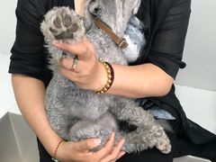 -纳吉亚猫专科动物诊疗中心(蒋宅口分院)