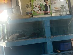 -东鸽皇(奥园·中环广场店)