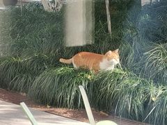 -Wagas沃歌斯(大学路店)