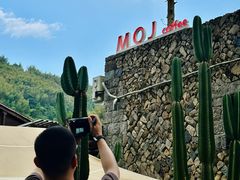 -MOJ coffee(瓯海泽雅水碓坑店)
