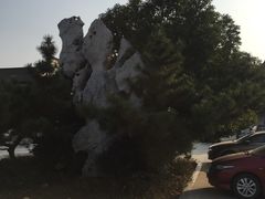 -八大山人梅湖景区