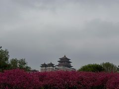 -莲花池公园