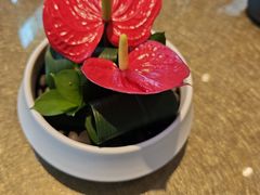 -上海总会SHANGHAICLUB(兴业太古汇店)