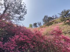 -木兰云雾山
