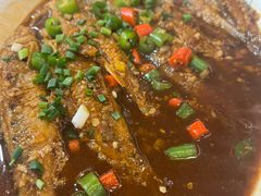 石斑鱼-曾福兴