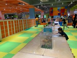 -宝燕乐园(闵行旗舰店)