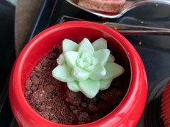 -三迪希尔顿酒店·星空酒廊