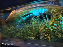 -陕西自然博物馆