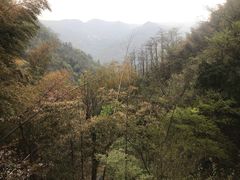 -藏龙百瀑风景区