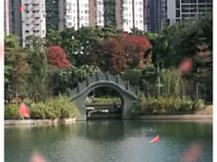 -四海公园(南山区)