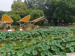 -石家庄市植物园
