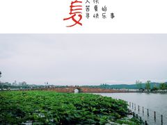 -青竺·青竹茶舍(断桥店)