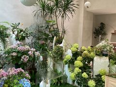 -花十悦·鲜花咖啡餐厅(振业城一期店)