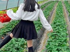 -大自然农场蔬菜草莓采摘园