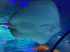 -沈阳海洋探索中心