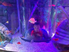 -沈阳海洋探索中心