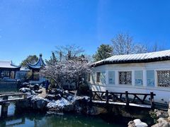 -八大山人梅湖景区