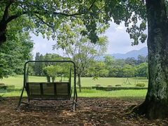 -福建鲤鱼洲酒店