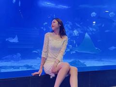 -烟台海昌鲸鲨海洋公园