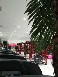 -葆姿普拉提·瑜伽
