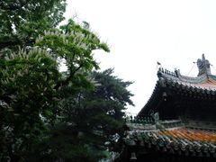 -潭柘寺景区