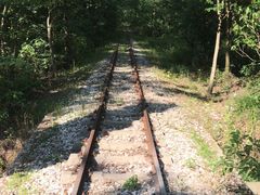 -合肥滨湖国家森林公园