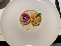 -觀芷隐轩