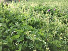 -南京金牛湖风景区