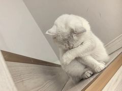 -潇湘楼(环保园店)