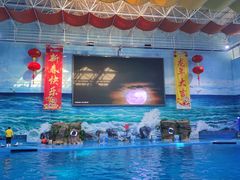 -多彩贵州城极地海洋世界