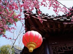 -丝绸小镇荻港古村