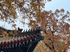 -香山公园