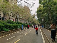 -武汉大学-樱园