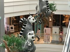 -大族广场Mall&More