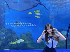 -重庆欢乐海底世界